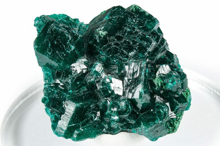 Sparkly Emerald-Green Dioptase Crystal Cluster - Congo #347864